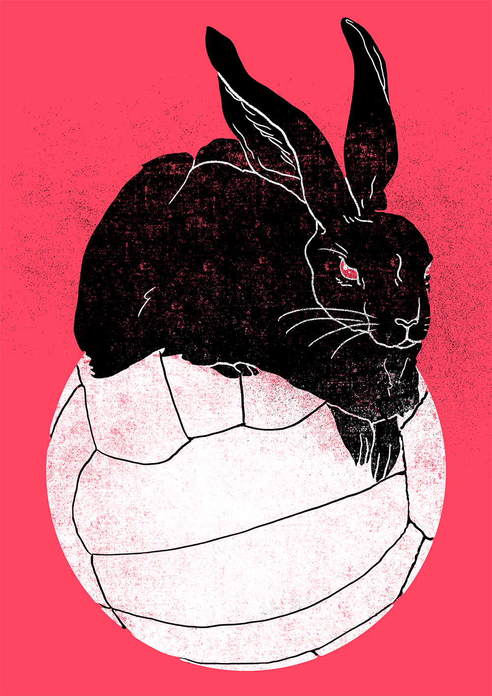  maxgemeinsam Kampagne Illustrationen 1.FCN